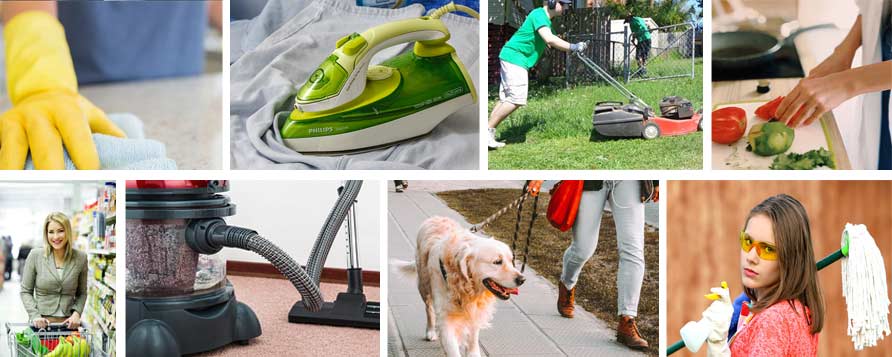 Different home service that NBCS deliverin brisbane & Ipswich, Ironing, Dog Walking, Mowing etc.